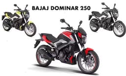 ഡൊമിനാര്‍ 250 ഡ്യുവല്‍ ടോണ്‍ പതിപ്പുകളെ അവതരിപ്പിച്ച് ബജാജ് 