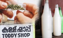 വീര്യം കൂട്ടാന്‍ തെങ്ങിന്‍ കള്ളില്‍ കഞ്ചാവ്‌: ഇടുക്കിയില്‍ 25 ഷാപ്പുകള്‍ക്ക്‌ പൂട്ട്‌ വീഴുന്നു