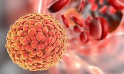 സംസ്ഥാനത്ത് സിക്ക വൈറസ് രോഗം നിയന്ത്രണവിധേയം; ജാഗ്രത തുടരണമെന്ന് ആരേഗ്യമന്ത്രി