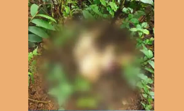 കണ്ണൂരില്‍ ഓടയില്‍ മൃതദേഹം കണ്ടെത്തിയ സംഭവം കൊലപാതകം; മരംമോഷണം പോലീസിനെ അറിയിച്ചതിന്റെ പ്രതികാരം