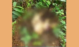 കണ്ണൂരില്‍ ഓടയില്‍ മൃതദേഹം കണ്ടെത്തിയ സംഭവം കൊലപാതകം; മരംമോഷണം പോലീസിനെ അറിയിച്ചതിന്റെ പ്രതികാരം