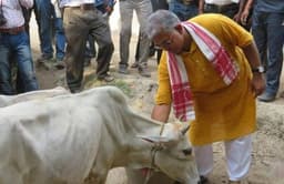 നാടൻ പാലിൽ സ്വർണമുണ്ടെന്ന്​ ആവർത്തിച്ച്​ ബംഗാൾ ബി.ജെ.പി അധ്യക്ഷൻ, പാക്കറ്റ് പാലിൽ ഇല്ല 