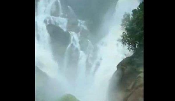 കോടമഞ്ഞ് പോലെ ട്രെയിനിനെ മൂടി ദൂത്സാഗർ വെള്ളച്ചാട്ടം- വീഡിയോ