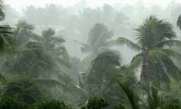 Heavy downpour in Chennai : 14 Dead