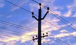 ഇരുമ്പുതോട്ടി കൊണ്ട് വിറകൊടിക്കുന്നതിനിടെ വൈദ്യുതിലൈനില്‍ തട്ടി യുവതി ഷോക്കേറ്റു മരിച്ചു