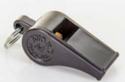 പന്ത്രണ്ടുകാരന്റെ ശ്വാസകോശത്തിൽ കുടുങ്ങിയ വിസിൽ 11 മാസത്തിനു ശേഷം നീക്കി