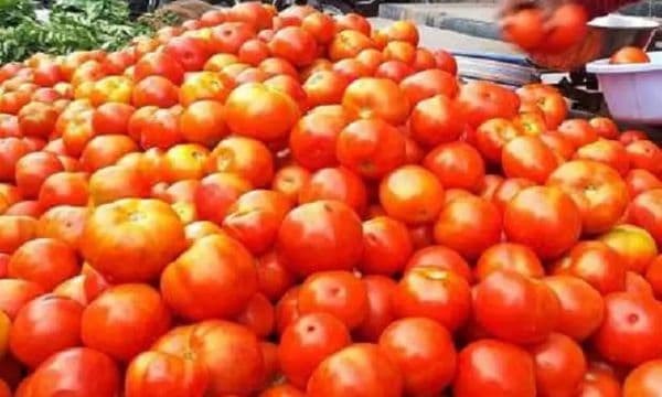 തക്കാളി വില തമിഴ്​നാട്ടിൽ കുത്തനെ കുറഞ്ഞു