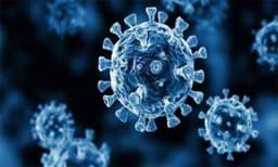 India detects 6 Covid cases on screening passengers of 11 flights from 'at-risk' countries