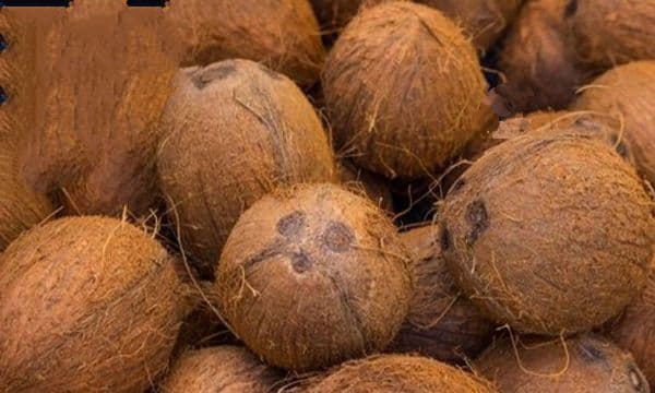 ഓ​ണ്‍ലൈ​നാ​യി തേ​ങ്ങ വാ​ങ്ങാ​ന്‍ ശ്ര​മി​ച്ച സ്ത്രീയ്​ക്ക് 45,000 രൂ​പ ന​ഷ്​​​ടം