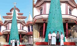 50 അ​ടി​യി​ലേ​റെ ഉ​യ​ര​മു​ള്ള ക്രി​സ്മ​സ് ട്രീ