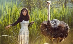 ‘മഞ്ജു ചേച്ചിക്ക്, മിസ് യൂണിവേഴ്സ് പട്ടം കിട്ടേണ്ടതായിരുന്നു’; വൈറൽ ഫോട്ടോഷൂട്ട്