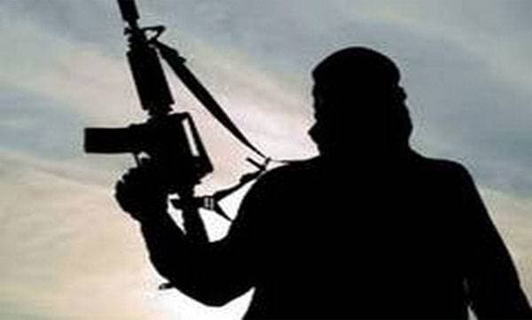 3 Jaish terrorists, including Pak national, killed in Pulwama encounter