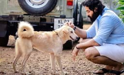 ‘നാടൻപട്ടി സ്നേഹം കൊണ്ട് വിജയിക്കണമെന്നാഗ്രഹിച്ച പടം’: ഇതൊരു മേപ്പടിയാൻ മൂവി റിവ്യൂ അല്ല