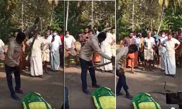 സംസാരിക്കാം, എഴുന്നേറ്റിരിക്കാം; വാവ സുരേഷിന്റെ ആരോഗ്യ നിലയിൽ നല്ല പുരോഗതി 