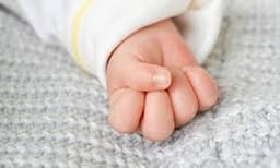 ആശുപത്രിക്ക് സമീപം നവജാത ശിശുവിന്റെ മൃതദേഹം കടിച്ചുകീറി തെരുവുനായ്ക്കൾ