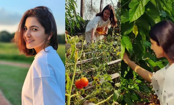 Anushka Sharma makes tomato jam (Image Source: Instagram)