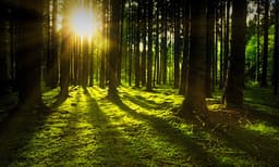 വിറ്റാമിന്‍ ഡി യുടെ കുറവ് നമ്മുടെ ശരീരത്തെ എങ്ങനെ ബാധിക്കും; ആരോഗ്യപ്രശ്‌നങ്ങള്‍ എന്തെല്ലാം