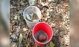 തലശേരി എരഞ്ഞോളിയില്‍ മൂന്ന് ബോംബുകള്‍ കണ്ടെടുത്തു