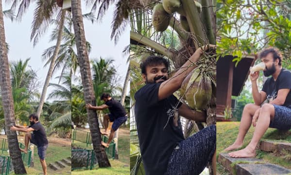 Kunchakko Boban climbing coconut tree (Image Source: Facebook)