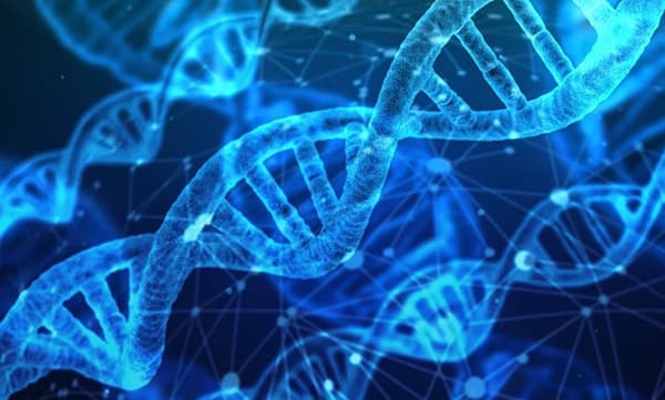 ഭൂമിയിൽ ജീവനുകൾ പിറന്നതിനു പിന്നിലെ രഹസ്യം കണ്ടെത്തി ഗവേഷകർ