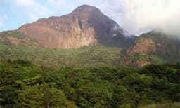 സംരക്ഷിത വനമേഖലയ്ക്ക് ചുറ്റും പരിസ്ഥിതി ലോല മേഖലയായി പ്രഖ്യാപിച്ച് കേന്ദ്രം; എതിര്‍പ്പുയര്‍ത്തി ഹൈറേഞ്ച് സംരക്ഷണ സമിതി