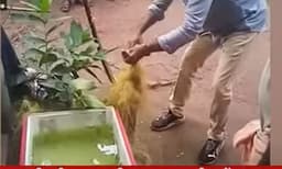 കൊല്ലം മൈലാപ്പൂരില്‍ മൂര്‍ഖനെ പിടിക്കുന്നതിനിടെ പാമ്പുപിടുത്തക്കാരന് കടിയേറ്റു