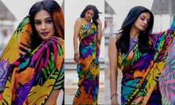 സാരി വെറുമൊരു വസ്ത്രമല്ല, അതൊരു ഐഡന്റിറ്റിയാണ്... കളര്‍ഫുള്‍ സാരിയില്‍ തിളങ്ങി പ്രിയാമണി
