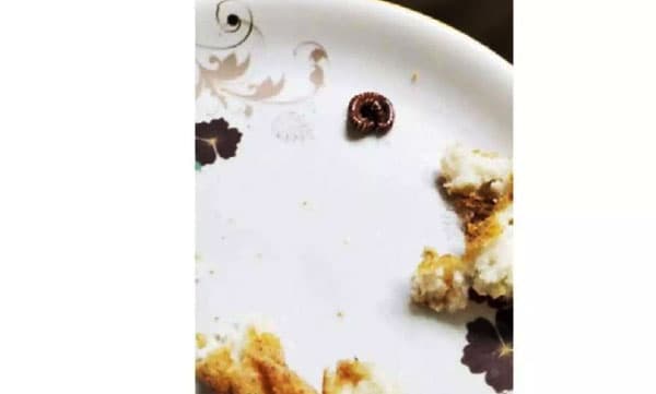 ഉഴുന്നു വടയിൽ തേരട്ട; കാസർകോട് ജില്ലാ ആശുപത്രിയിലെ ലഘുഭക്ഷണ ശാല പൂട്ടി അധികൃതര്‍ 