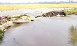 ആലപ്പുഴയില്‍ വീണ്ടും മടവീഴ്ച; 70 ഏക്കര്‍ നെല്‍പ്പാടം വെള്ളത്തിലായി