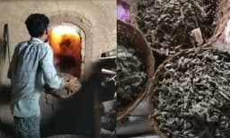 തൃശ്ശൂരില്‍ 550 കിലോ കഞ്ചാവ് കത്തിച്ചു നശിപ്പിച്ചു; സ്‌റ്റേഷനില്‍ സൂക്ഷിക്കാന്‍ പ്രായോഗിക ബുദ്ധിമുട്ടുകള്‍