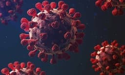 8,084 New Covid Cases In India, 10 Related Deaths