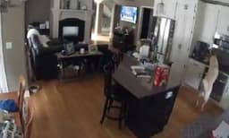 വളര്‍ത്തുനായ അടുക്കളയില്‍ കയറി ഗ്യാസ് സ്റ്റൗ ഓണാക്കി ; പിന്നാലെ വീട് തന്നെ കത്തി