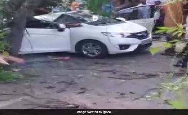 woman died in Chennai after a tree fell on her car on Friday evening | Photo - ANI