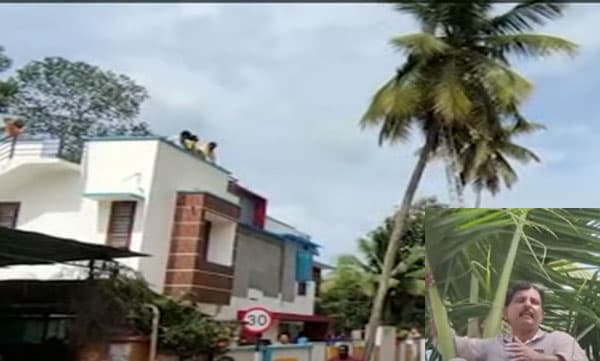 
വീട് നിര്‍മ്മിച്ചതിന്റെ കുടിശിക നല്‍കിയില്ല; തെങ്ങിന് മുകളില്‍ കയറി കോണ്‍ട്രാക്ടറുടെ ആത്മഹത്യാഭീഷണി