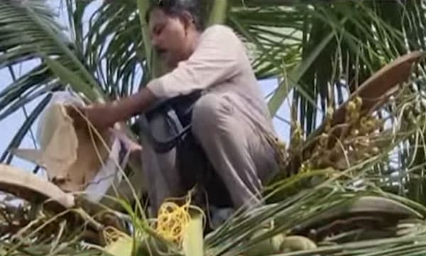 
വീട് നിര്‍മ്മിച്ചതിന്റെ കുടിശിക നല്‍കിയില്ല; തെങ്ങിന് മുകളില്‍ കയറി കോണ്‍ട്രാക്ടറുടെ ആത്മഹത്യാഭീഷണി