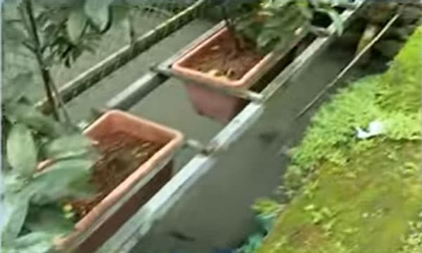 ഓപ്പറേഷന്‍ ബ്രേക്ക് ത്രൂ; കൊച്ചി പനമ്പിള്ളി നഗറിലെ തുറന്ന കാനയില്‍ വീണ് മൂന്നു വയസ്സുകാരന് പരിക്ക് 