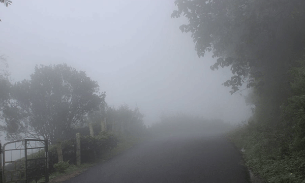 മലനിരകളും തേയിലത്തോട്ടങ്ങളും വെള്ള പുതപ്പിനടിയില്‍ ; മൂന്നാറില്‍ മഞ്ഞുപെയ്യുന്നു, താപനില പൂജ്യം ഡിഗ്രിയിലേക്ക്