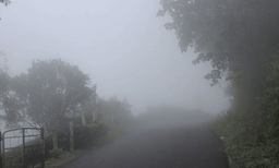 മലനിരകളും തേയിലത്തോട്ടങ്ങളും വെള്ള പുതപ്പിനടിയില്‍ ; മൂന്നാറില്‍ മഞ്ഞുപെയ്യുന്നു, താപനില പൂജ്യം ഡിഗ്രിയിലേക്ക്