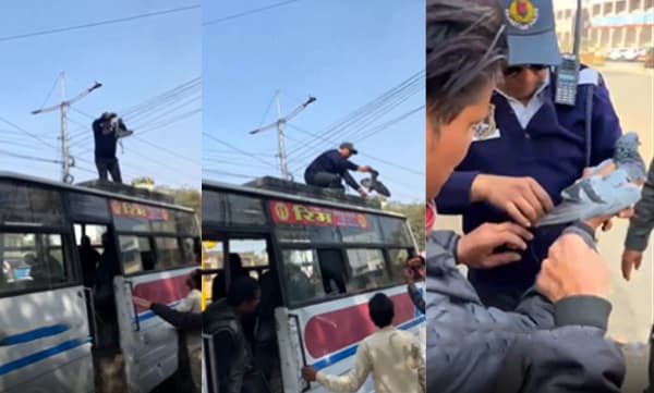 Traffid police escapes a bird (Image Source: Twitter)