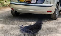 വണ്ടുകള്‍ക്ക് പ്രിയം എഥനോള്‍ കലര്‍ന്ന പെട്രോള്‍: വില്ലനെ തടയാന്‍ വാഹന കമ്പനികളും