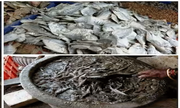 കേരളത്തിലേക്കുളള ഉണക്കമീന്‍ കഴുകുന്നത് വിസര്‍ജ്യം കലര്‍ന്ന മലിനജലത്തില്‍
