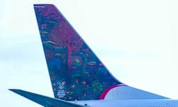 വാനോളമെത്തിയ വര, എയര്‍ ഇന്ത്യ എക്‌സ്പ്രസില്‍ ടെയില്‍ ആര്‍ട് തീര്‍ത്തൊരു കോഴിക്കോടുകാരി