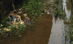 ആലപ്പുഴയിലെ ജലസ്രോതസ്സുകള്‍ നാറുന്നു...! ദിവസവും കൊണ്ടിടുന്നത് 10 ലക്ഷം ലിറ്റര്‍ സെപ്റ്റിക് ടാങ്ക് മാലിന്യമെന്ന്