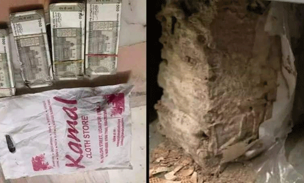പണം സുരക്ഷിതമായിരിക്കാന്‍ ബാങ്ക് ലോക്കറില്‍ വച്ചു: 2.15 ലക്ഷം രൂപയോളം ചിതല്‍ തിന്നു

