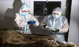 3500 വര്‍ഷങ്ങള്‍ക്കു ശേഷം കരടിയുടെ ശരീരം കണ്ടെത്തി
