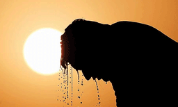 പുലര്‍ച്ചെ തണുപ്പും കനത്ത മഞ്ഞും; പകല്‍ സമയത്തു കനത്ത ചൂടും ; സൂര്യാഘാതവുമായി ബന്ധപ്പെട്ട ആരോഗ്യ പ്രശ്‌നങ്ങള്‍ യഥാസമയം കണ്ടെത്തി ചികിത്സിക്കണമെന്നു സര്‍ക്കാര്‍