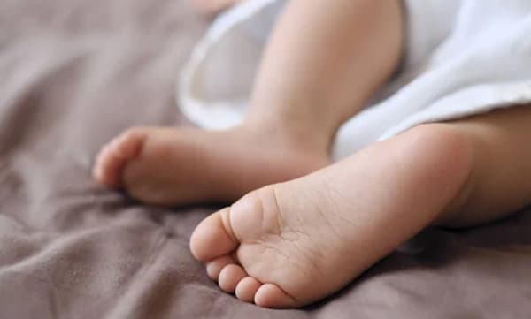 ഉള്‍ക്കാട്ടിലെ തോട്ടില്‍ പ്രസവിച്ചു,  ആദിവാസി യുവതിയുടെ കുട്ടി മരിച്ചു ; കാട്ടില്‍ പോയത് ഊരില്‍ വെള്ളമില്ലാത്തതിനാല്‍