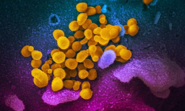 കോവിഡ് വൈറസിന്റെ ഉത്ഭവം ചൈനയിലെ ലാബില്‍ നിന്ന് തന്നെ: റിപ്പോര്‍ട്ട് പുറത്തുവിട്ട് യു.എസ് മാധ്യമം