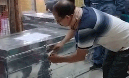 മേഘാലയയില്‍ തൃണമൂല്‍ കോണ്‍ഗ്രസിനും പിന്നില്‍ ബിജെപി മൂന്നാമത് ; ത്രിപുരയില്‍ കോണ്‍ഗ്രസ് - ഇടതു സഖ്യം നില മെച്ചപ്പെടുത്തുന്നു