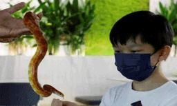 ഈ കഫേയില്‍ എത്തിയാല്‍ ഇഴജന്തുക്കളെ താലോലിക്കാം